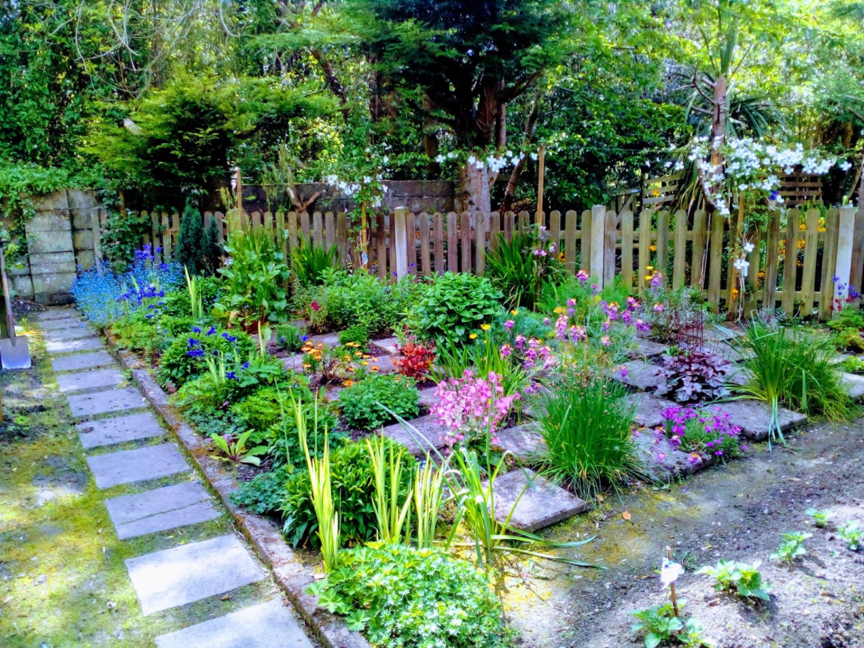 Cottage garden planting