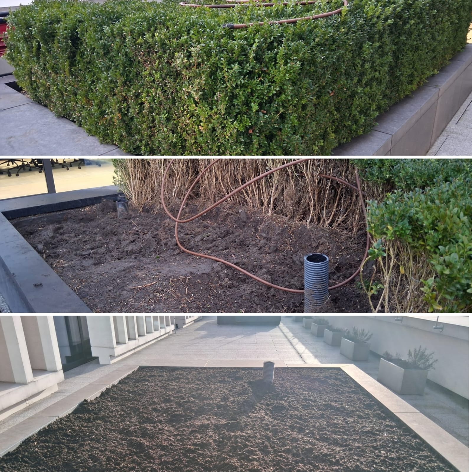 Hotel courtyard garden