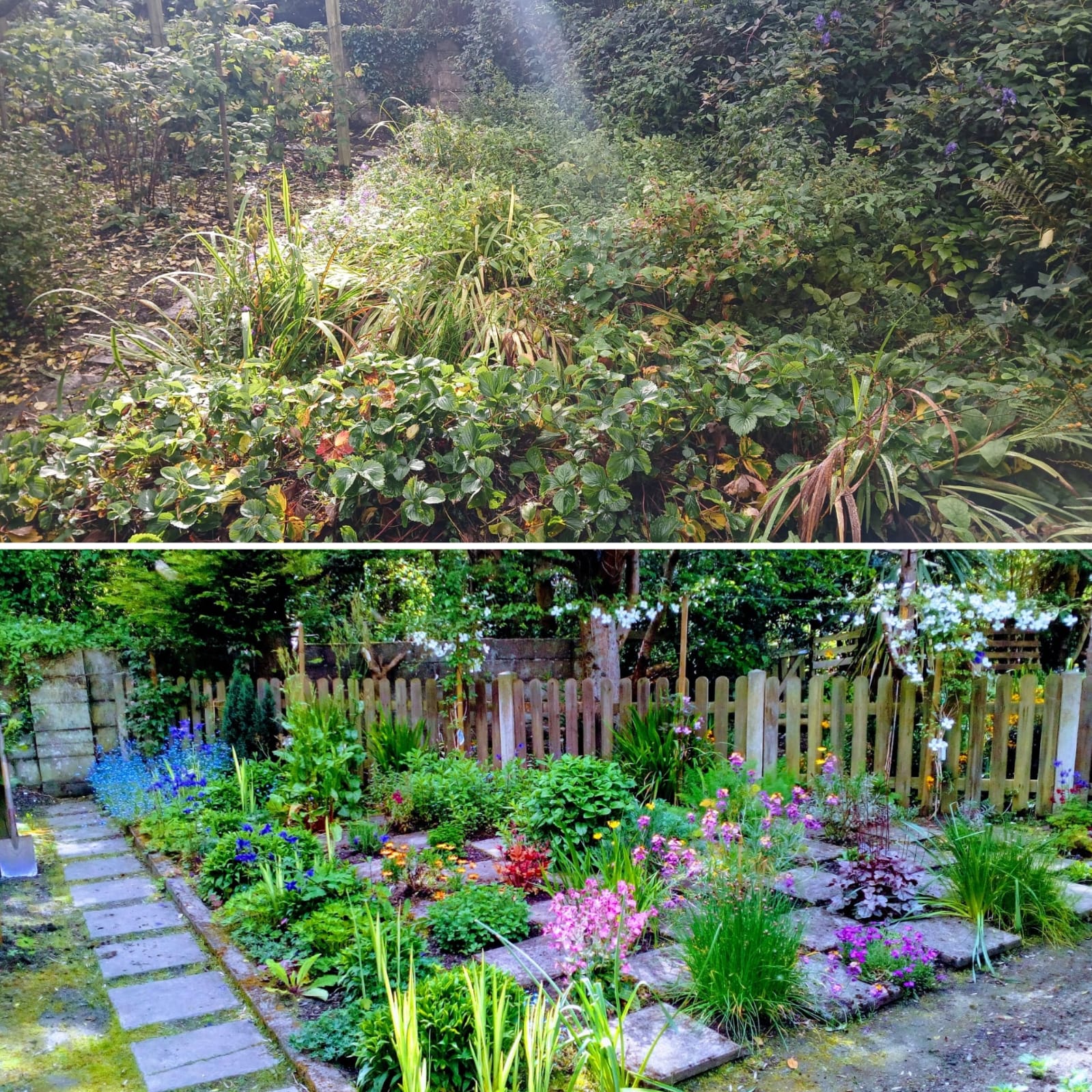 Residential garden