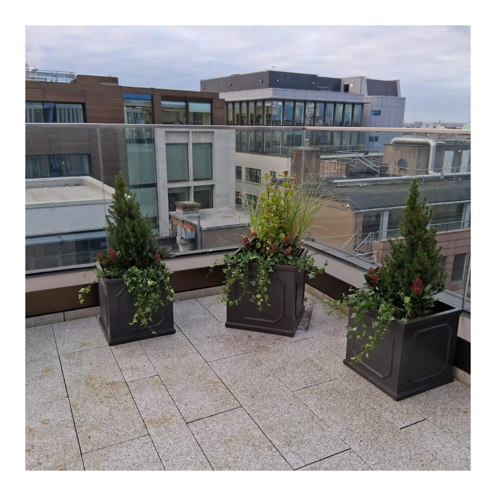 Rooftop garden
